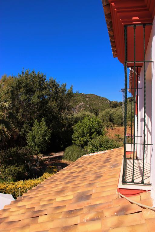 Hostal La Zamora Carcabuey Bagian luar foto